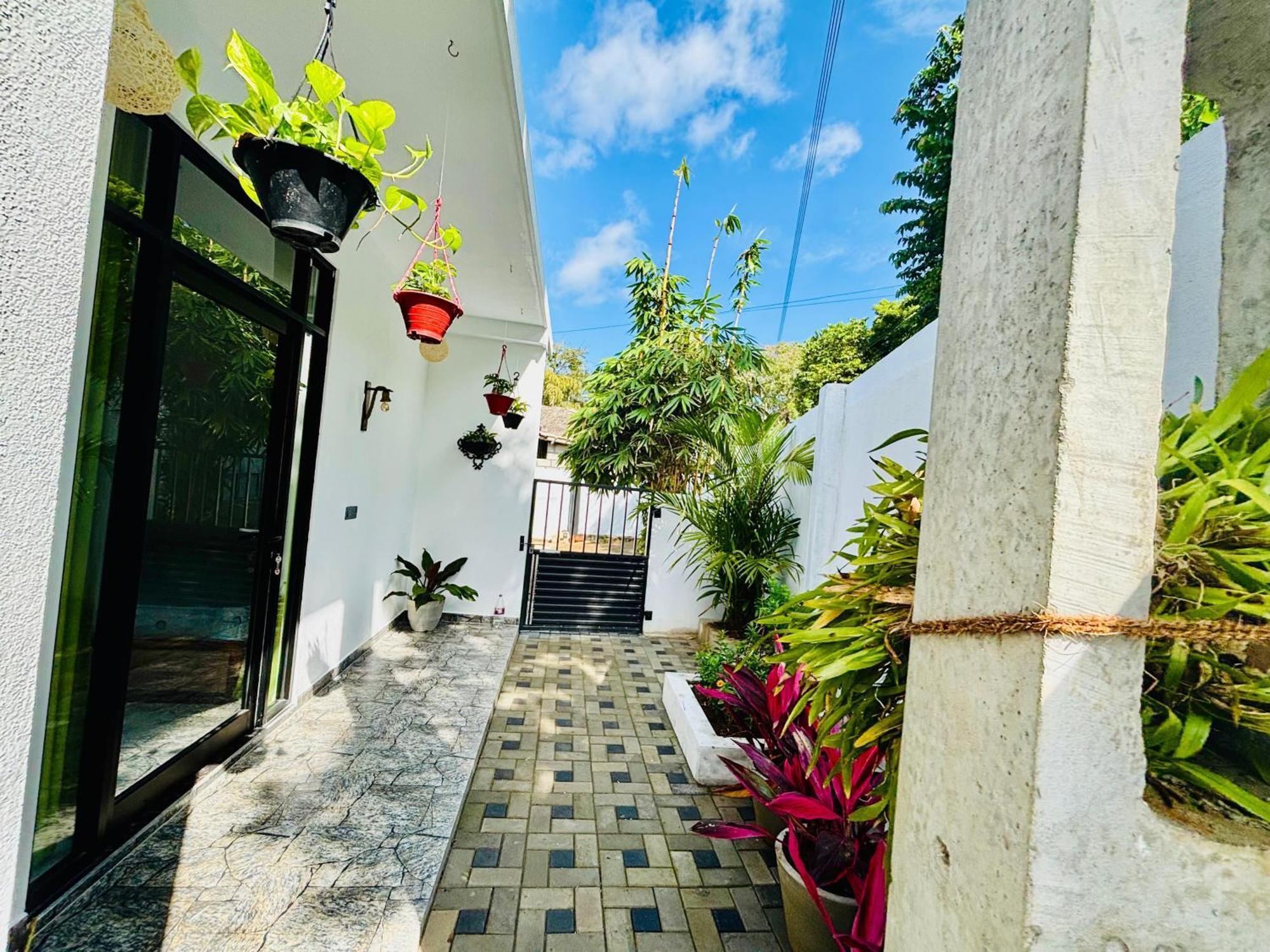 Bird House Villas تانجالي المظهر الخارجي الصورة