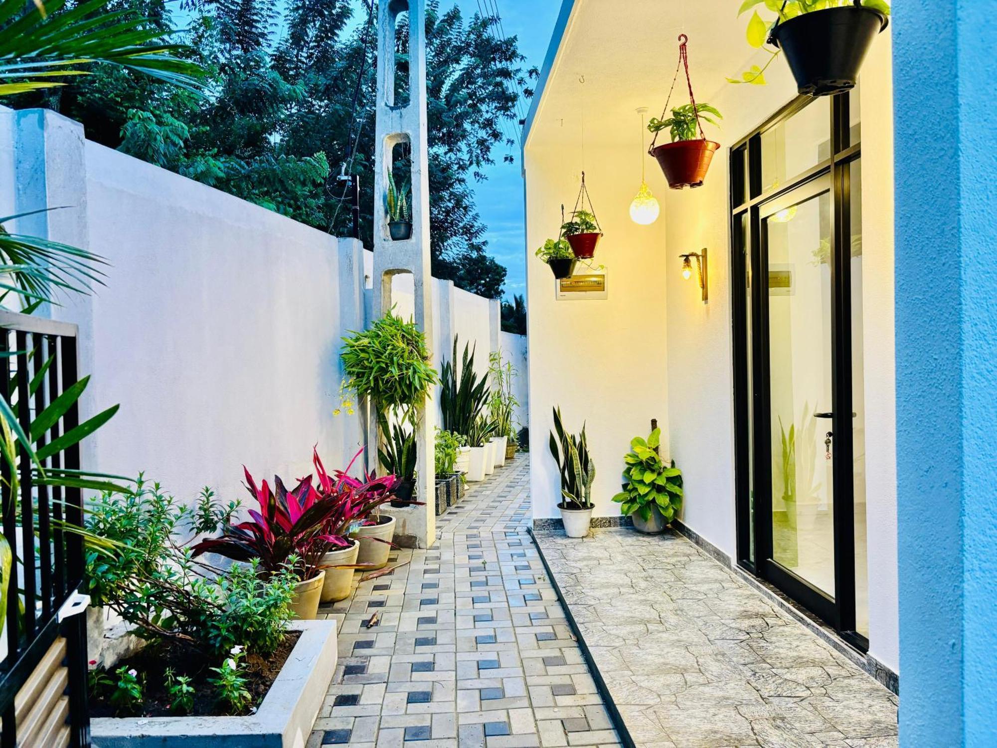 Bird House Villas تانجالي المظهر الخارجي الصورة